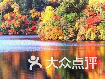 坚持以科研为牵引做优做强医疗卫生事业 2024年全省卫生健康工作会议召开