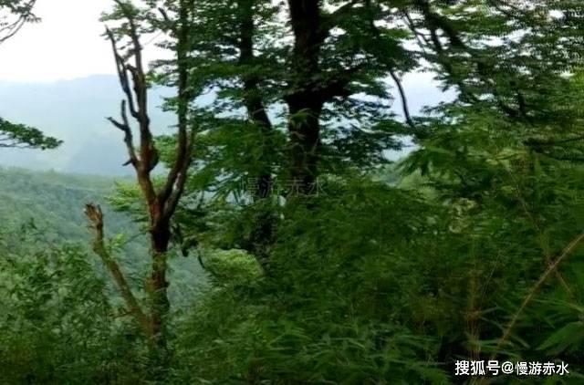团车网盘中异动 早盘快速下跌5.92%报0.161美元