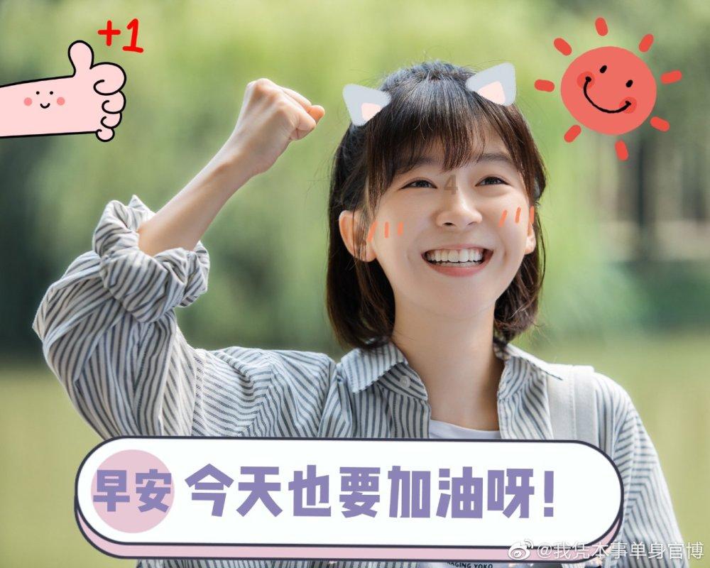 可爱的小考拉